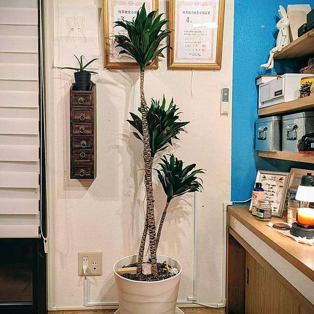 sara33さんの実例写真