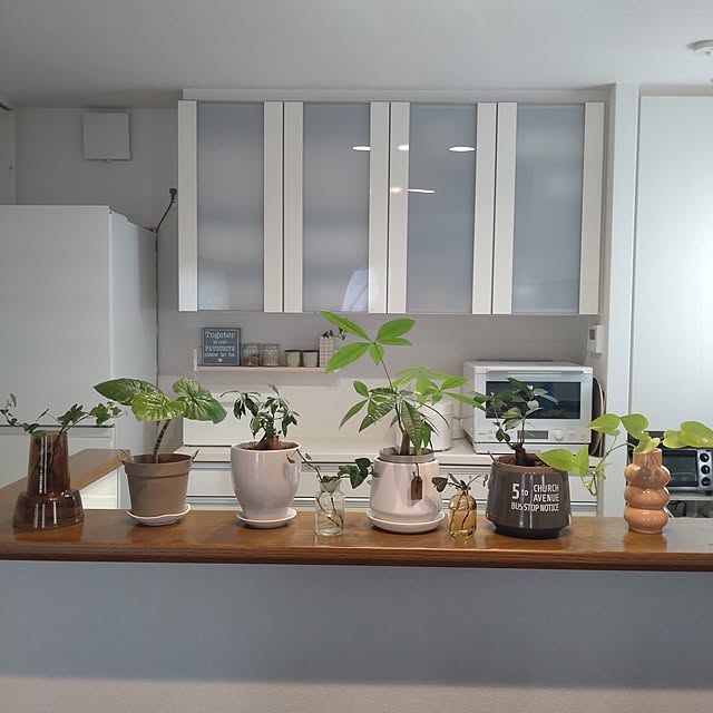 tan5さんの部屋