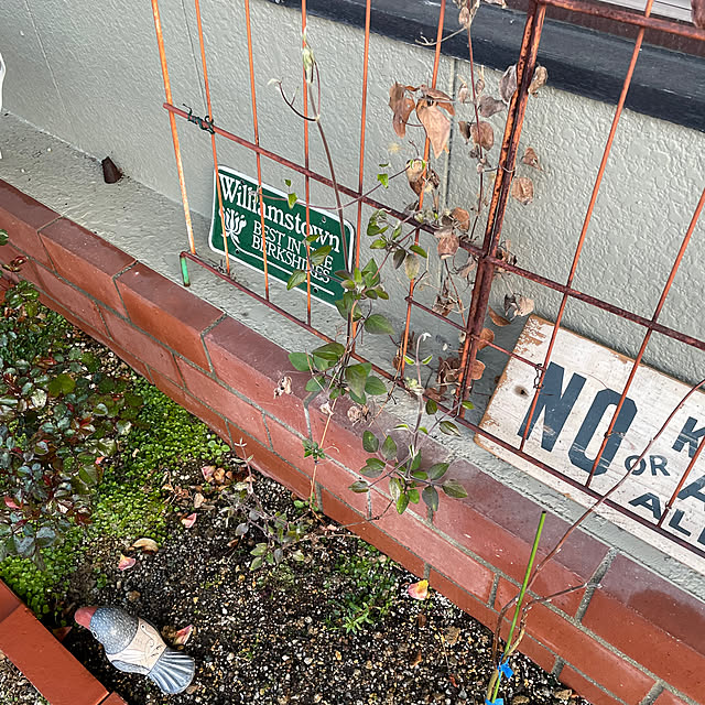 shin0719さんの部屋