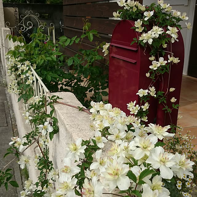 norikさんの実例写真