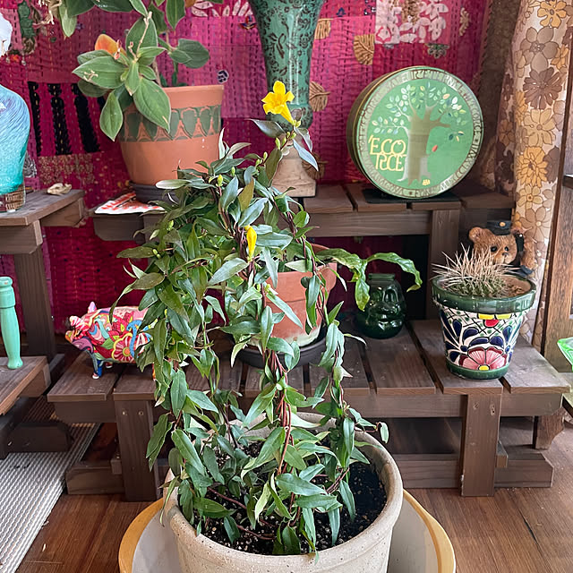 shin0719さんの実例写真