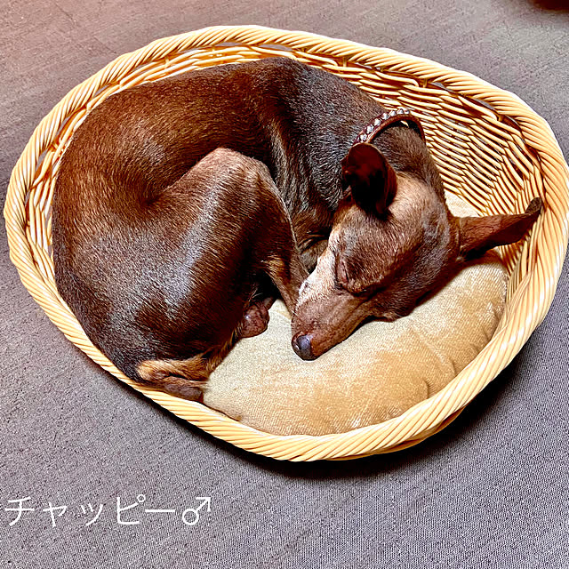 na-chanさんの実例写真