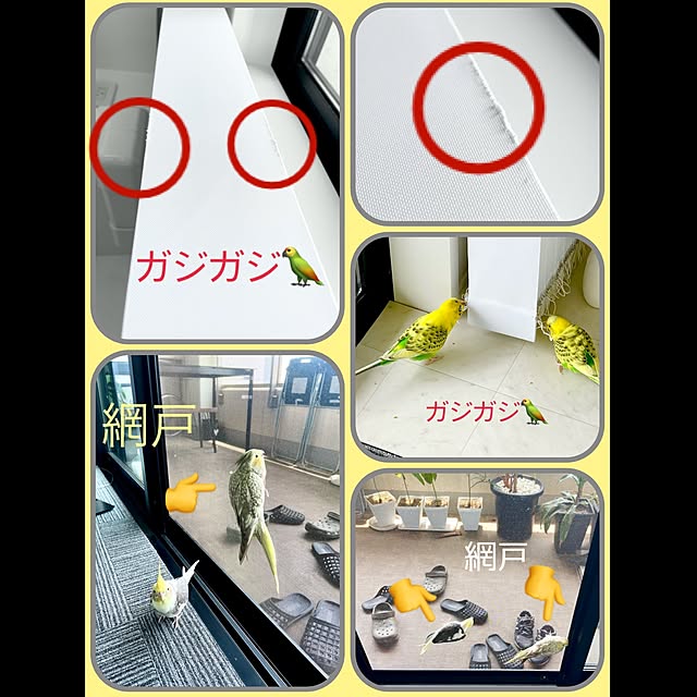実例写真