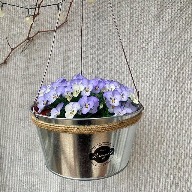 Ma-saさんの実例写真