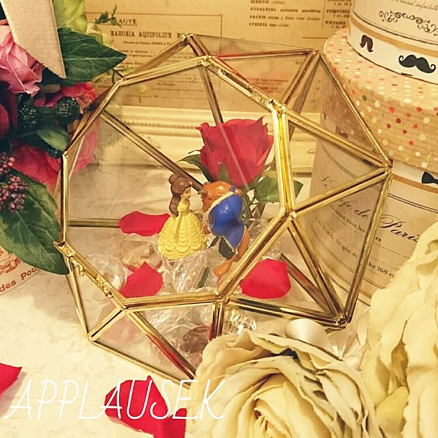 APPLAUSE.Kさんの実例写真