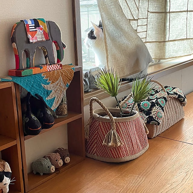 nobikoさんの実例写真