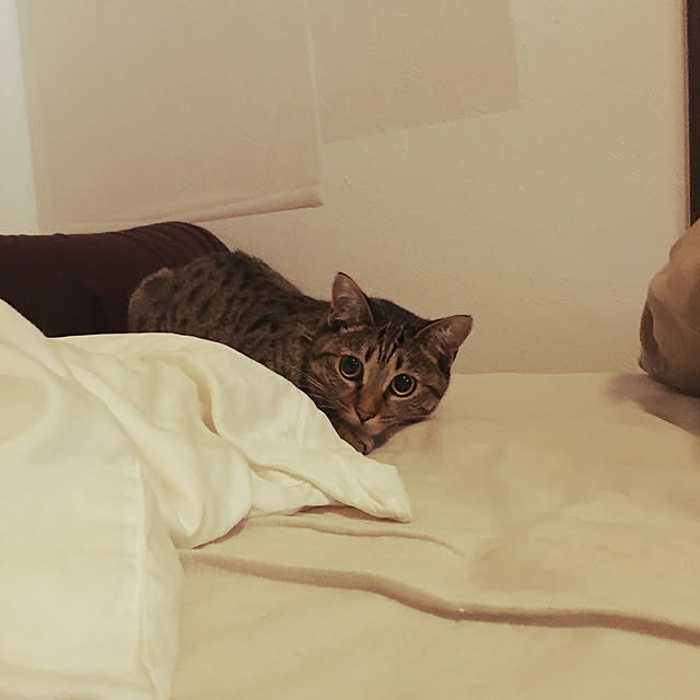 Mさんの実例写真