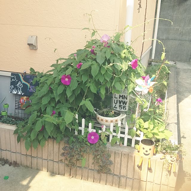 ariさんの実例写真