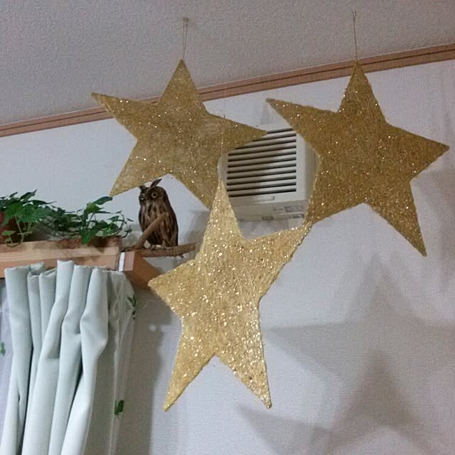 壁/天井/クリスマスのインテリア実例 - 2014-12-05 02:51:50