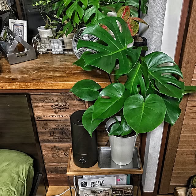 chobiさんの実例写真
