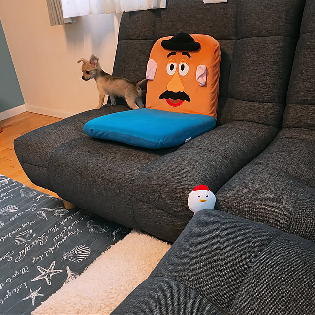cochaさんの実例写真