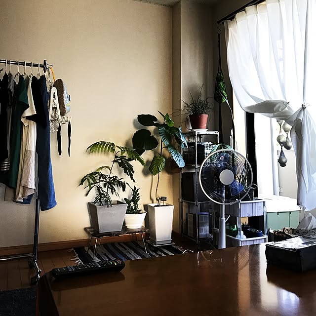 powakyonさんの実例写真