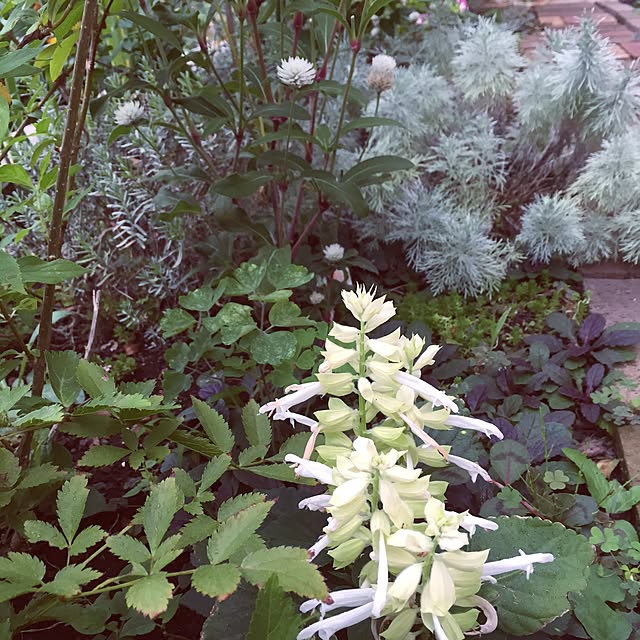 happygardenさんの実例写真