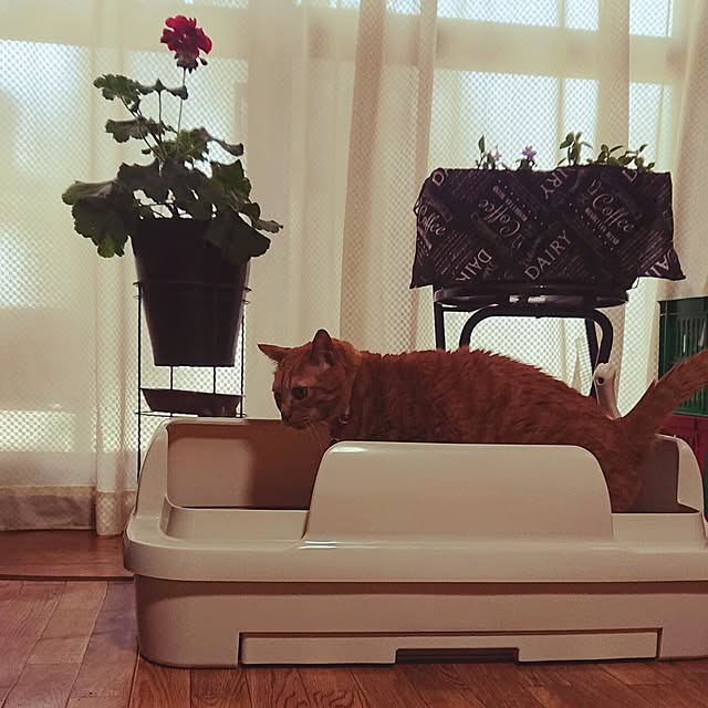 NOAHさんの部屋