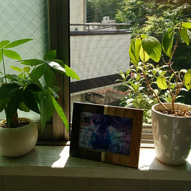 AikoNiiさんの実例写真