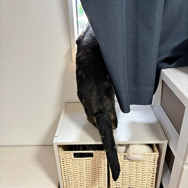 Shosaさんの部屋