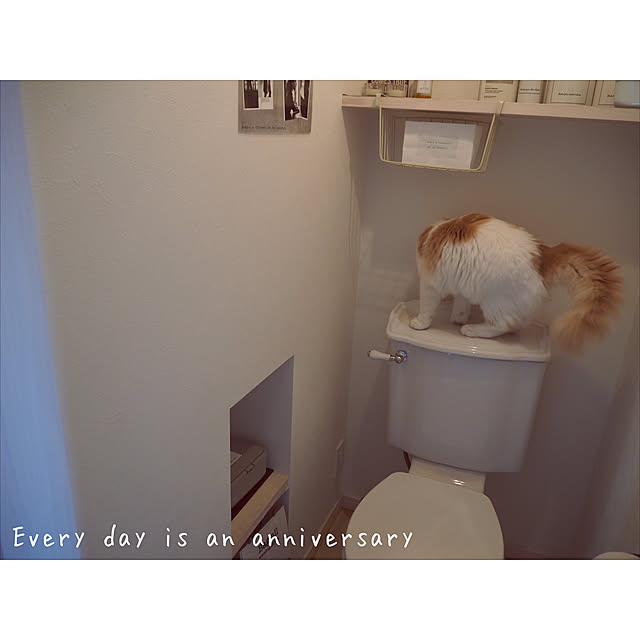 grazieさんの実例写真