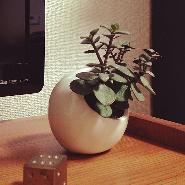 Masahiroさんの実例写真