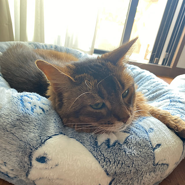 yuさんの実例写真