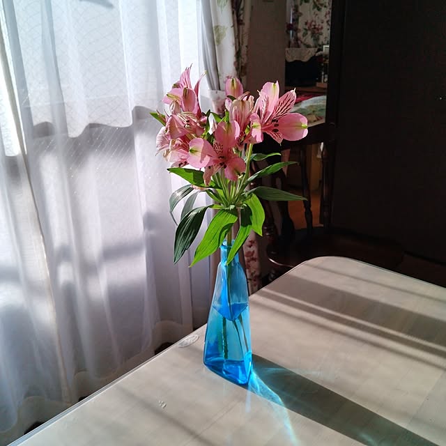 tomoko.tk1130Tomさんの実例写真