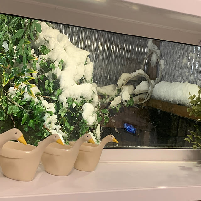 masakoさんの部屋