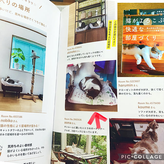 haruminさんの実例写真