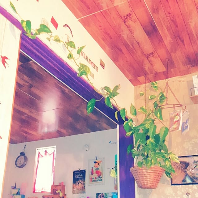 chako.さんの実例写真