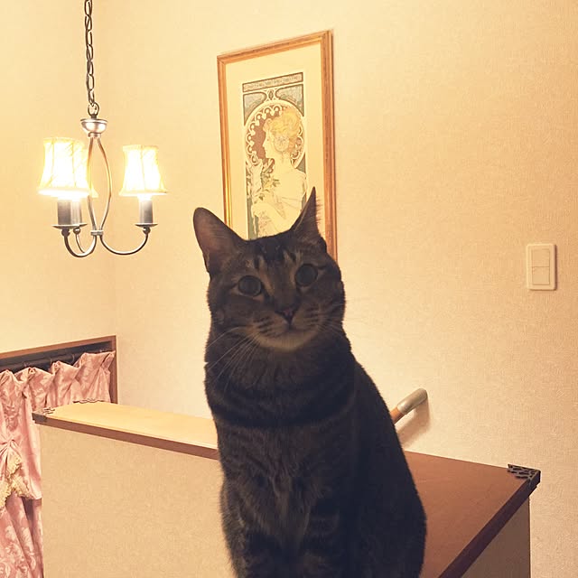 kyoさんの実例写真