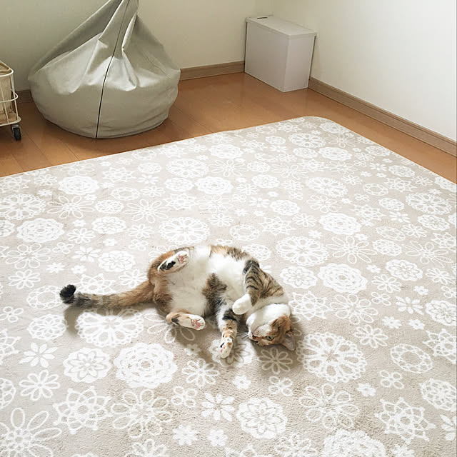 akitainu7さんの実例写真