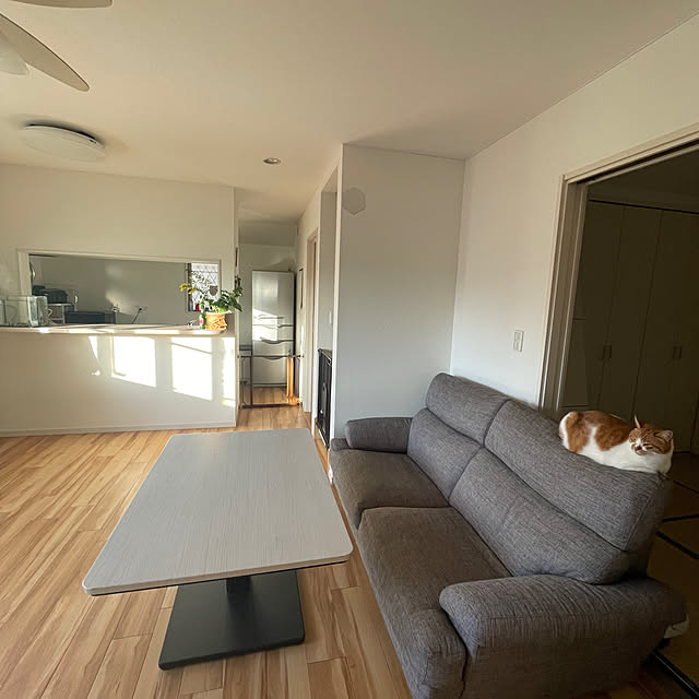 Harukiさんの実例写真