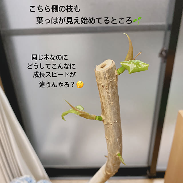 yukaさんの部屋