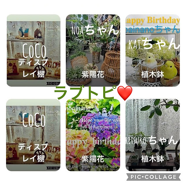 CoCo0617さんの実例写真