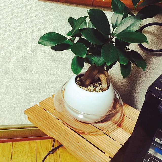Marikoさんの実例写真
