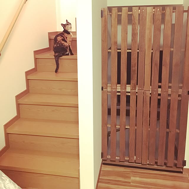 a_ko_a_koさんの実例写真