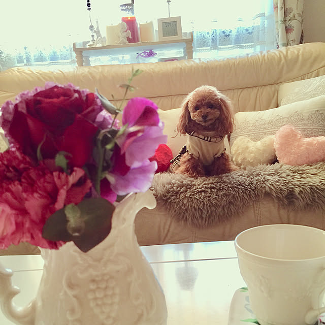 anguさんの実例写真