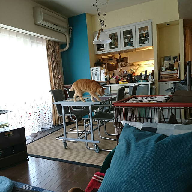 okyosan101さんの実例写真
