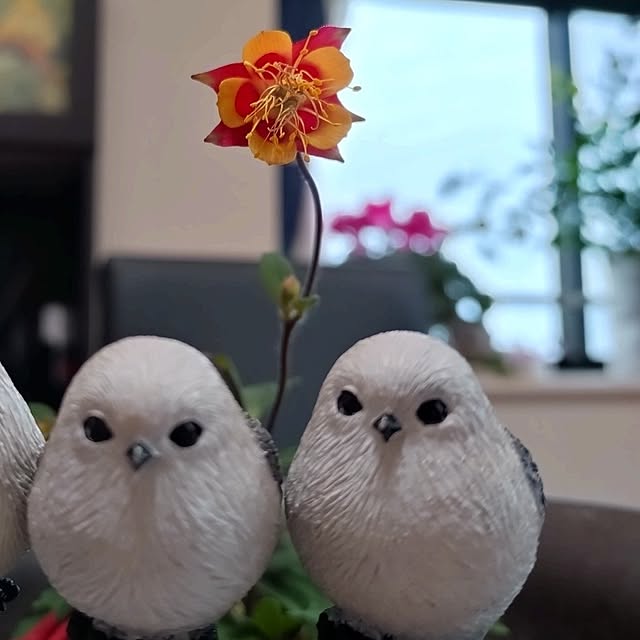 NOAHさんの部屋