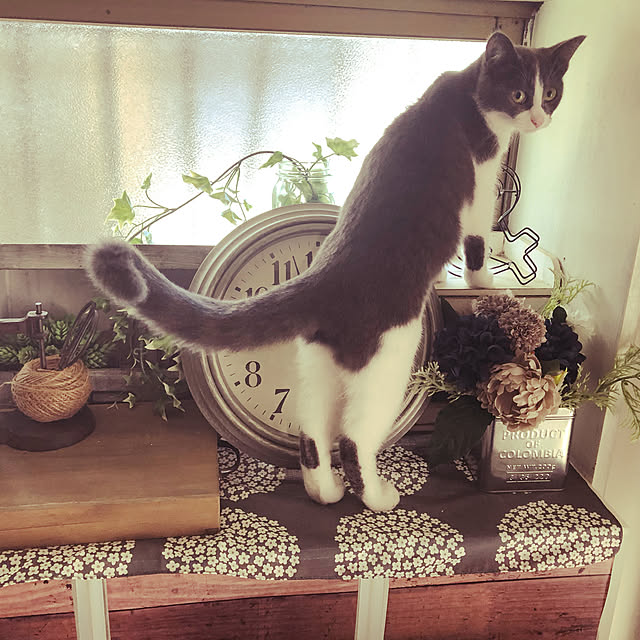 RUNRUNさんの実例写真