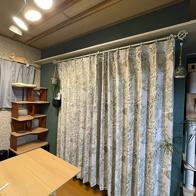 nekohagu2022さんの実例写真