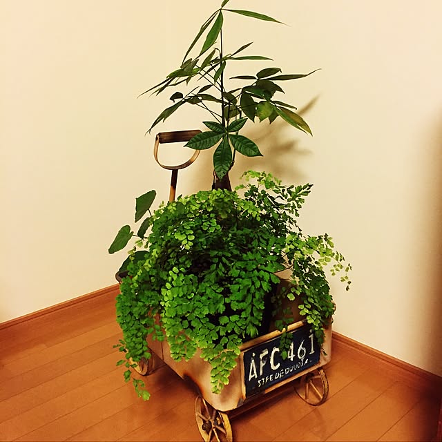 renikoさんの実例写真
