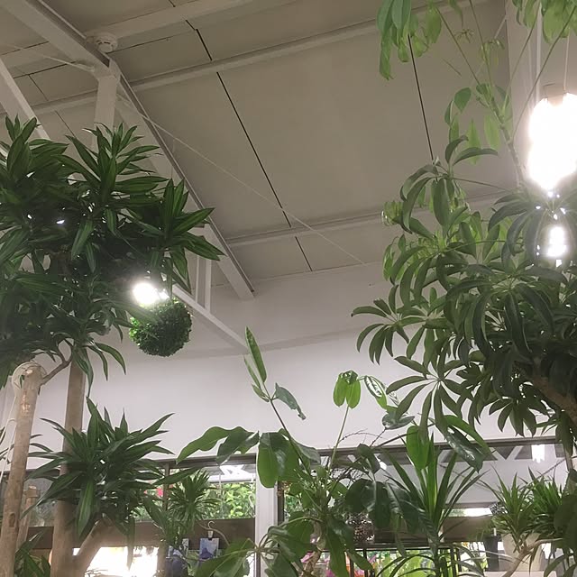 GREENJAMさんの実例写真