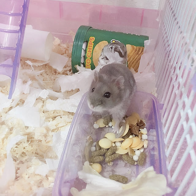 milkさんの実例写真