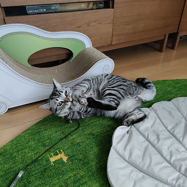 hiro3さんの実例写真