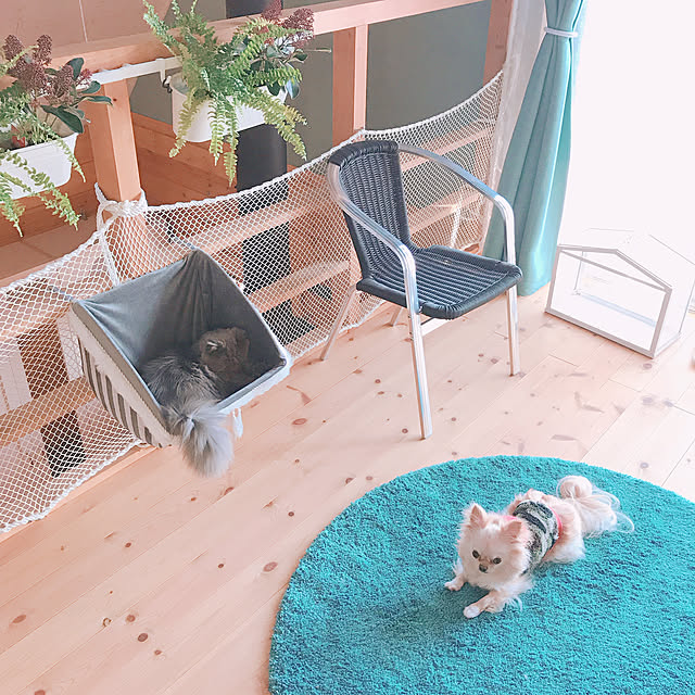 Marieさんの実例写真
