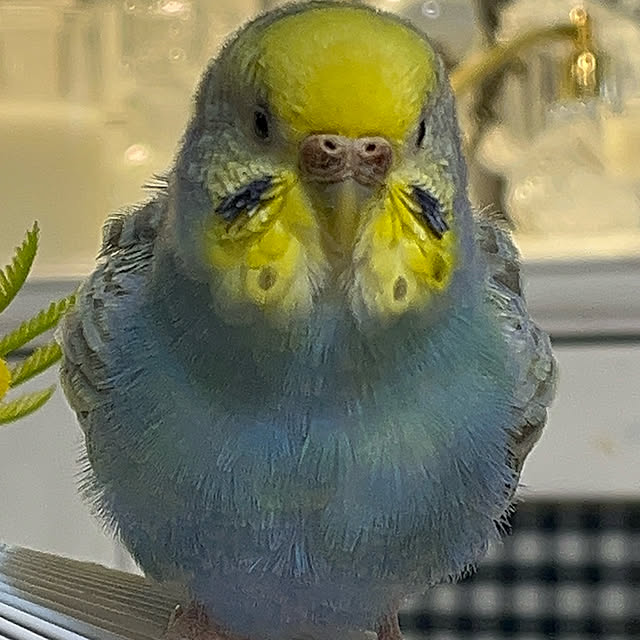 Atsukoさんの部屋