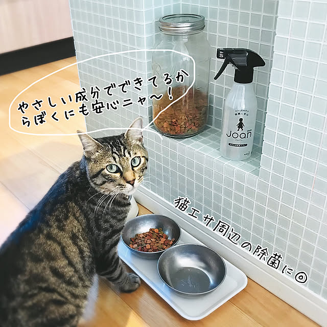 nekomusumeさんの実例写真