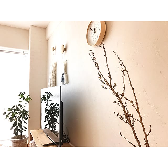 Hisayoさんの実例写真