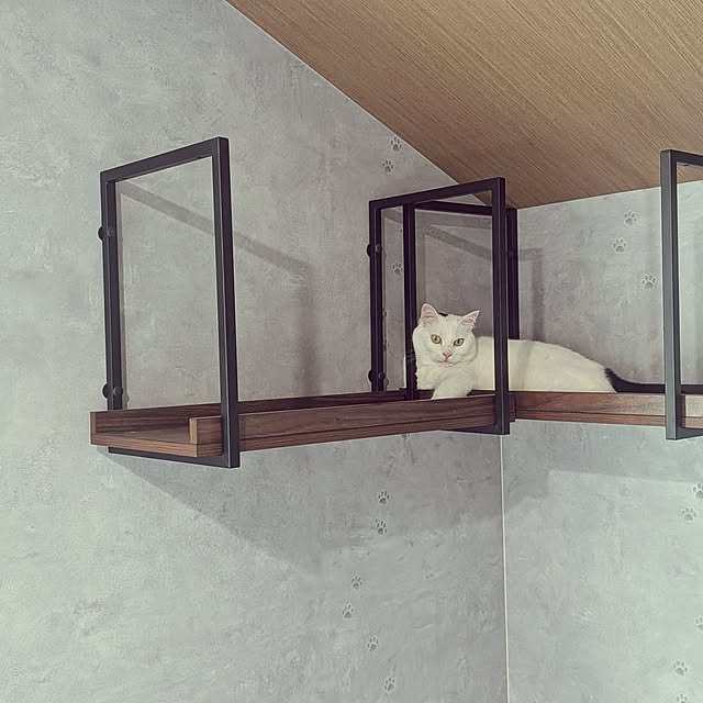 shiratamaさんの部屋