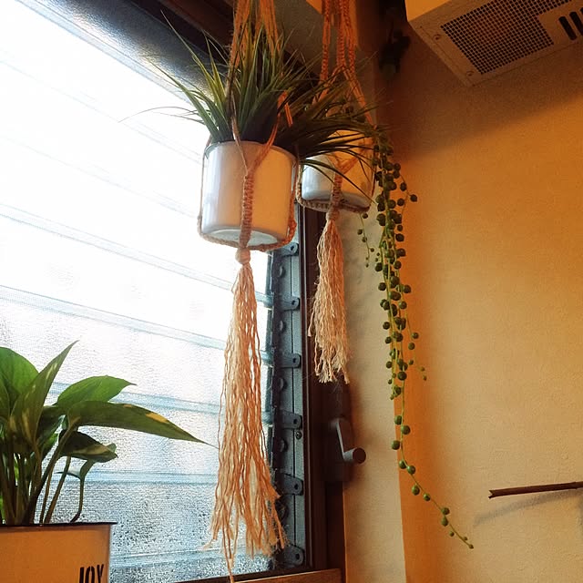 sayaさんの実例写真