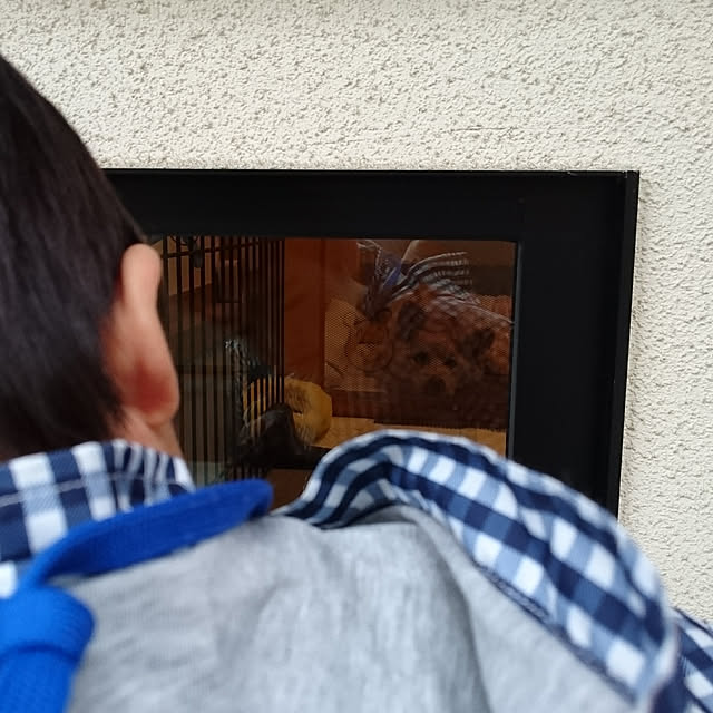 Kazuさんの実例写真